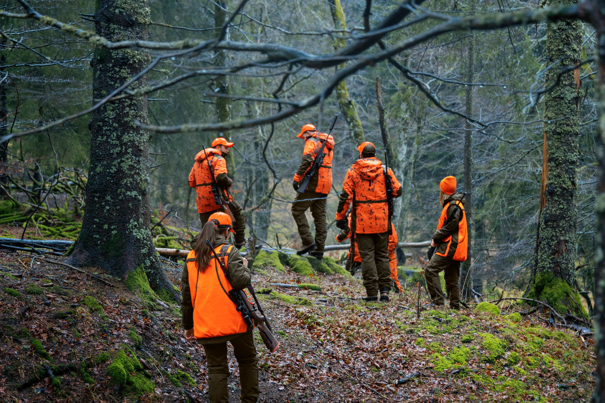 Seeland Travo Vest, Hi-Vis Orange