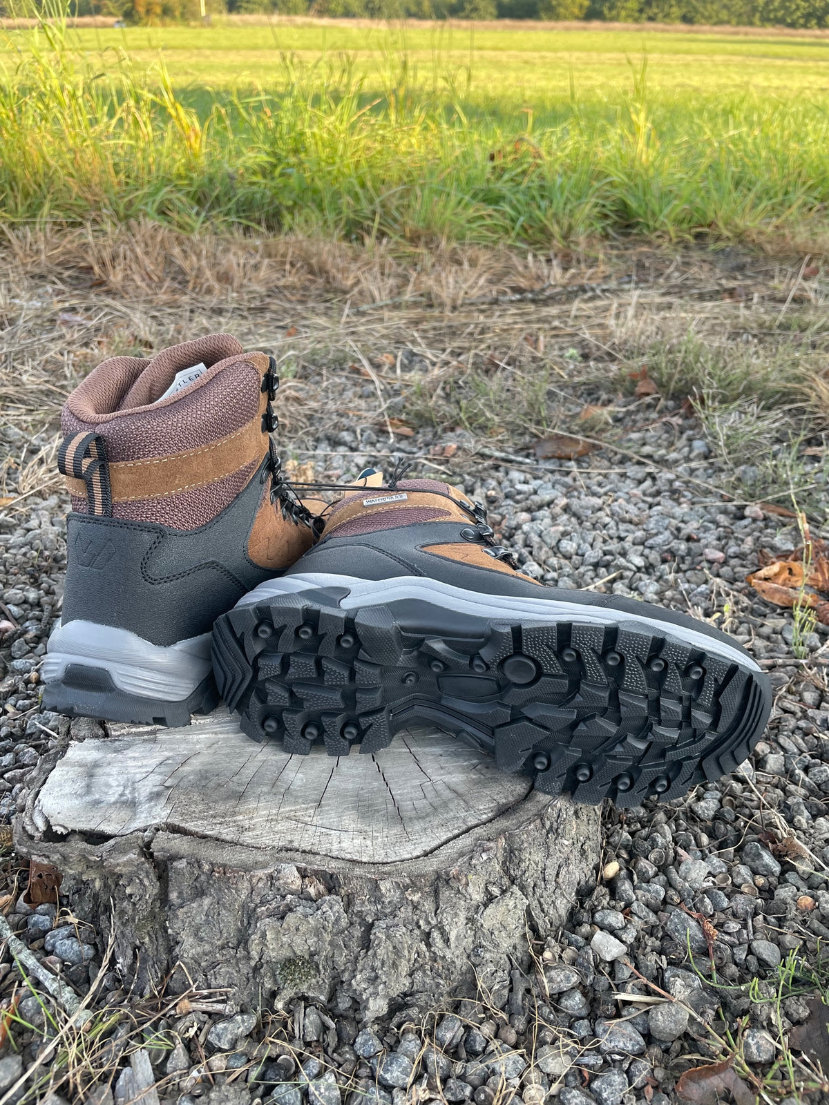 Whistler Detion Outdoor Læder Støvle, brun